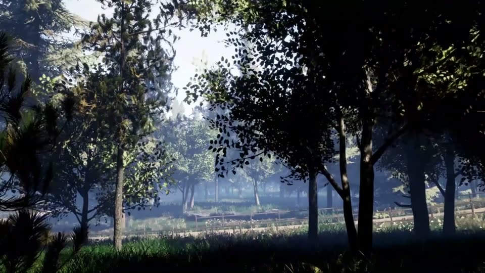 BRAIN IN A VAT film still: trees and light in a game-engine landscape